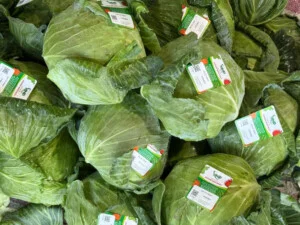 Nông Sản Hoàng Nam Phát – Hợp Tác Xã Hoàng Nam Phát