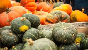 Nông Sản Hoàng Nam Phát – Hợp Tác Xã Hoàng Nam Phát