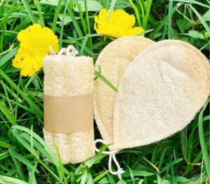 Xơ Mướp LUFFAVIET – Công Ty TNHH Sản Xuất Thương Mại Và Dịch Vụ QCMT