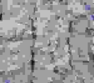 Vải Không Dệt Uy Vũ – Công Ty TNHH Sản Xuất Vải Không Dệt Uy Vũ