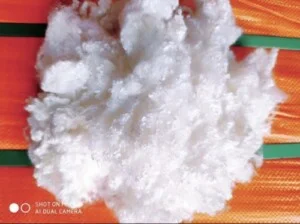 Chi Nhánh Đồng Nai – Công Ty TNHH Vina Eco Việt Nam