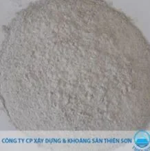 Khoáng Sản Thiên Sơn – Công Ty Cổ Phần Xây Dựng Và Khoáng Sản Thiên Sơn