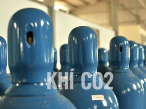 Khí Công Nghiệp Đình Vũ – Công Ty Cổ Phần Thương Mại Dịch Vụ Khí Công Nghiệp Đình Vũ