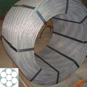 Công Ty TNHH Thương Mại & Dịch Vụ MK Vina