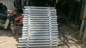 Cay20chong20gian20giao2012