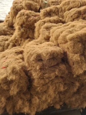 Mụn Dừa, Sơ Dừa Trần Vinh – Cơ Sở Dừa Trần Vinh