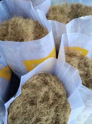 Đất Sạch Tiền Giang – Chi Nhánh Cơ Sở Sản Xuất Vạn Phát