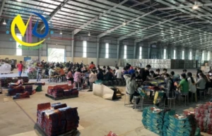 Lao Động Minh Khang Dona – Công Ty TNHH Minh Khang Dona