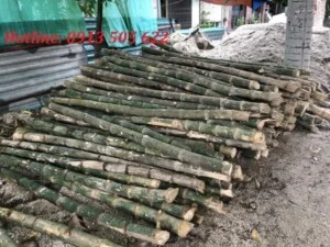 Cọc Tre, Cọc Bê Tông Hà Nội  – Công Ty TNHH Cọc Tre Và Cọc Bê Tông Hùng Mai