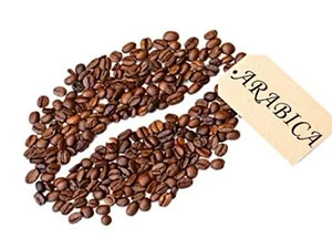 Cà Phê AVC HEMERA – Công Ty TNHH AVC HEMERA