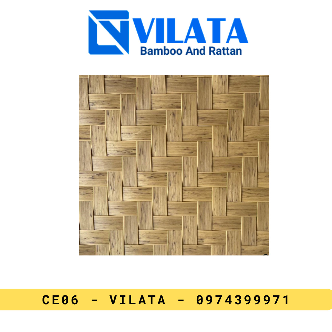 Công Ty TNHH MTV Vilata