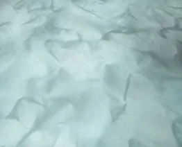 Xưởng Da Thuộc Kim Kim Quang – Công Ty TNHH Kim Kim Quang