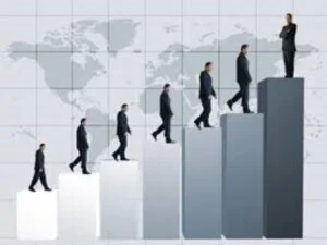 Công Ty TNHH Dịch Vụ Doanh Nghiệp Song Kim