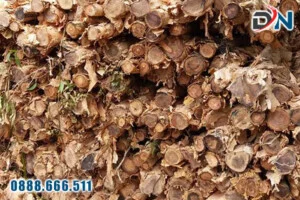 Cừ Tràm Đại Nam