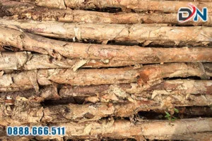 Cừ Tràm Đại Nam