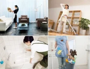 Công ty TNHH Đầu Tư Thương Mại Và Phát Triển Dịch Vụ Trung Thành