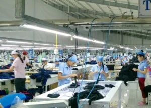 Chi Nhánh Công Ty TNHH Thanh Niên X.P