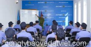 Công Ty TNHH Dịch Vụ Bảo Vệ Đất Việt – Chi Nhánh Đà Nẵng