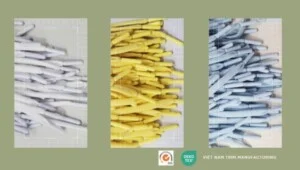 Công Ty TNHH Việt Nam Trim Manufacturing