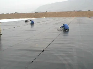 Màng Nhà Kính Phong Kiều – Công Ty TNHH Phong Kiều