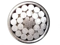 Dây Cáp Điện Đại Long – Công Ty TNHH Thương Mại Sản Xuất Dây Và Cáp Điện Đại Long