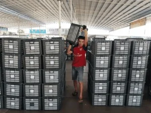 Bốc Xếp Hàng Hóa Thành Tín 247 – Công Ty TNHH Thương Mại Dịch Vụ Vận Tải Nhân Lực Thành Tín 247