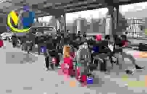 Lao Động Minh Khang Dona – Công Ty TNHH Minh Khang Dona