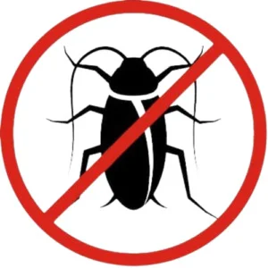 Diệt Côn Trùng 5S Hà Tĩnh – Công Ty TNHH Thương Mại Và Dịch Vụ 5S