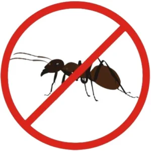 Diệt Côn Trùng 5S Hà Tĩnh – Công Ty TNHH Thương Mại Và Dịch Vụ 5S