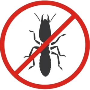 Diệt Côn Trùng 5S Hà Tĩnh – Công Ty TNHH Thương Mại Và Dịch Vụ 5S