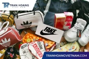 Creator: Gd Jpeg V1.0 (using Ijg Jpeg V62), Chất lượng = 75