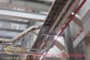 Công Ty TNHH Thiên Tín Phát