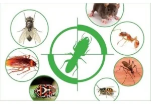 VPĐD tại Vĩnh Phúc – Công Ty TNHH Dịch Vụ Công Nghiệp Huy Hoàng