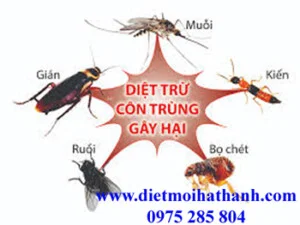 Diệt Mối Hiệp Toàn Phát – Công Ty TNHH TM DV Đầu Tư Hiệp Toàn Phát