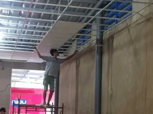 Công Ty TNHH Đa Hệ Cấp