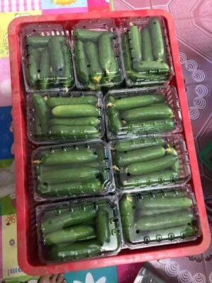 Nông Sản Hoàng Nam Phát – Hợp Tác Xã Hoàng Nam Phát