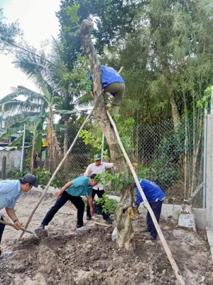 Dịch Vụ Việc Làm Bến Cát – Công Ty TNHH Trung Tâm Dịch Vụ Việc Làm Bến Cát