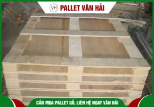 Chi Nhánh An Giang – Công Ty TNHH Một Thành Viên Pallet Văn Hải