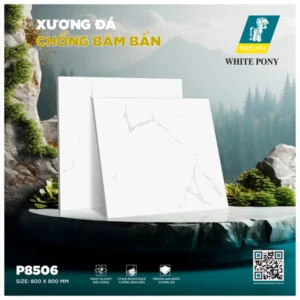 Gạch Men Thành Phát – Công Ty TNHH Thương Mại & Vật Liệu Xây Dựng Thành Phát