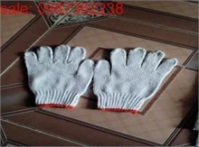 Công Ty Cổ Phần Lâm Nghiệp Hòa Phát