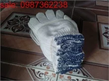 Công Ty Cổ Phần Lâm Nghiệp Hòa Phát