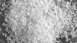 Gạo Nhật Minh – Công Ty TNHH TRADING & SERVICE Nhật Minh