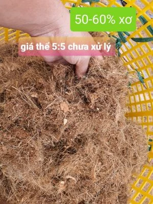 Giá Thể Trồng Cây Cánh Đồng Xanh – Công Ty TNHH Một Thành Viên Sản Xuất Thương Mại Dịch Vụ Xuất Nhập Khẩu Cánh Đồng Xanh