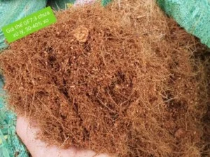 Giá Thể Trồng Cây Cánh Đồng Xanh – Công Ty TNHH Một Thành Viên Sản Xuất Thương Mại Dịch Vụ Xuất Nhập Khẩu Cánh Đồng Xanh