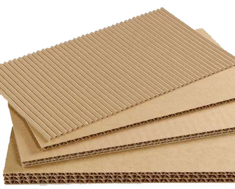 Bao Bì Thuận Phát – Công Ty TNHH TM DV SX Bao Bì Thuận Phát