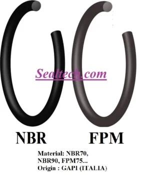 Gioăng Phớt Sealtech Việt Nam – Công Ty TNHH Sealtech Việt Nam