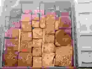 Đồ Gỗ Vimico – Công Ty TNHH Công Nghiệp Vimico