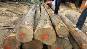 Gỗ Việt Mỹ – Công Ty TNHH Đồ Gỗ Việt Mỹ