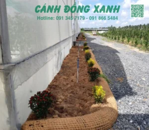 Giá Thể Trồng Cây Cánh Đồng Xanh – Công Ty TNHH Một Thành Viên Sản Xuất Thương Mại Dịch Vụ Xuất Nhập Khẩu Cánh Đồng Xanh