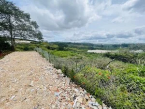 Bất Động Sản Đà Lạt – Lưu Văn Tuệ